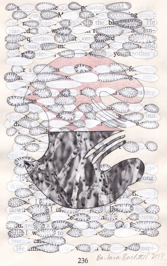 Page 236