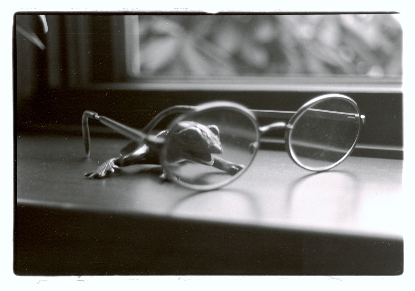 Frog Glasses